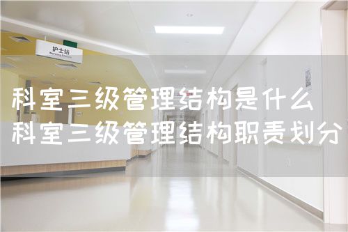 科室三级管理结构是什么(科室三级管理结构职责划分)(图1) 科室三级管理结构是什么(科室三级管理结构职责划分)(图1)