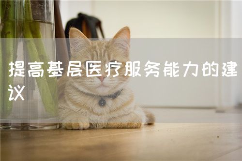 提高基层医疗服务能力的建议(图1) 提高基层医疗服务能力的建议(图1)
