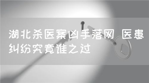 湖北杀医案凶手落网 医患纠纷究竟谁之过(图1)