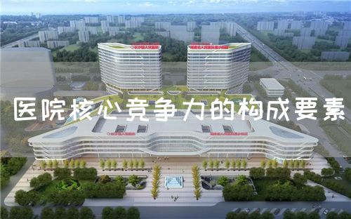 医院核心竞争力的构成要素(图1)