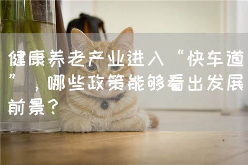 健康养老产业进入“快车道”，哪些政策能够看出发展前景？(图1)