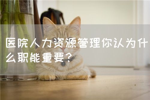 医院人力资源管理你认为什么职能重要？(图1)