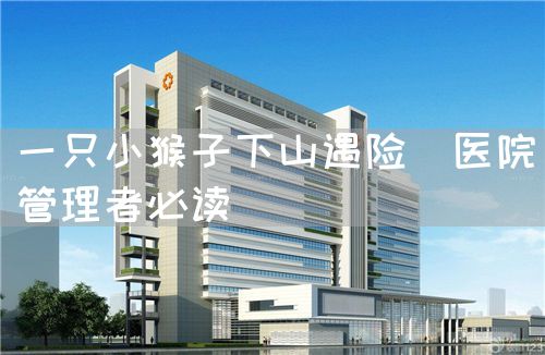 一只小猴子下山遇险（医院管理者必读）(图1)