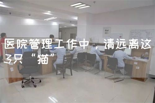 医院管理工作中，请远离这3只“猫”(图1)