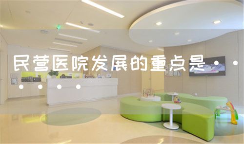 民营医院发展的重点是······(图1)