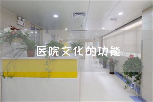 医院文化的功能(图1)