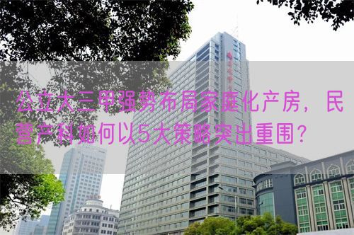 公立大三甲强势布局家庭化产房，民营产科如何以5大策略突出重围？(图1)