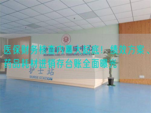 医保财务核查内幕大起底！绩效方案、药品耗材进销存台账全面曝光(图1)