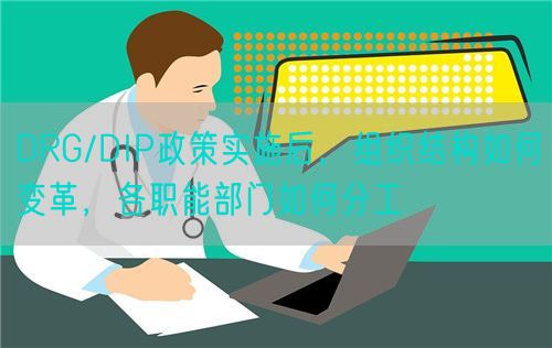 DRG/DIP政策实施后，组织结构如何变革，各职能部门如何分工(图1)