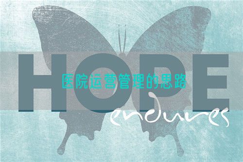 医院运营管理的思路(图1) 医院运营管理的思路(图1)
