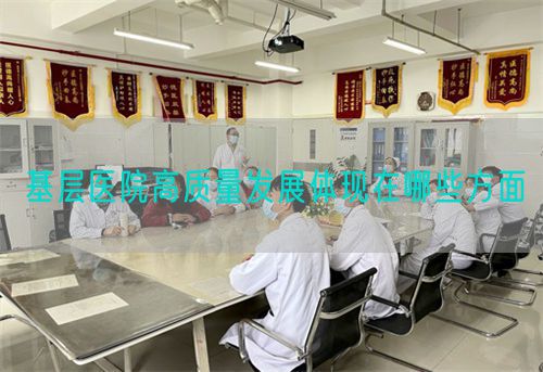 基层医院高质量发展体现在哪些方面(图1) 基层医院高质量发展体现在哪些方面(图1)