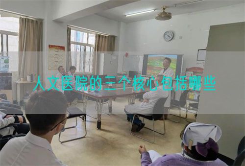 人文医院的三个核心包括哪些(图1) 人文医院的三个核心包括哪些(图1)