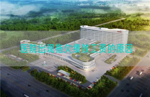 医院出现拖欠绩效工资的原因(图1)