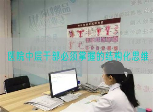 医院中层干部必须掌握的结构化思维(图1) 医院中层干部必须掌握的结构化思维(图1)