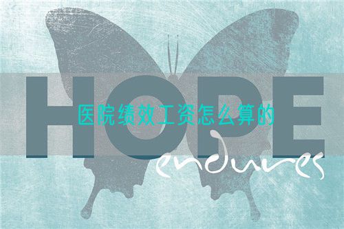 医院绩效工资怎么算的(图1) 医院绩效工资怎么算的(图1)