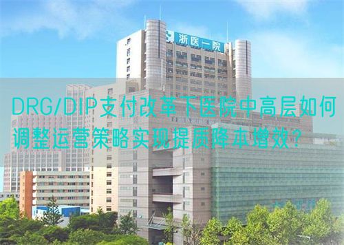 DRG/DIP支付改革下医院中高层如何调整运营策略实现提质降本增效？(图1)