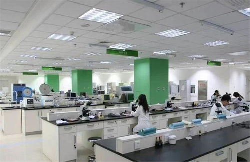 医院信息科是如何对信息人员进行绩效管理(图1)