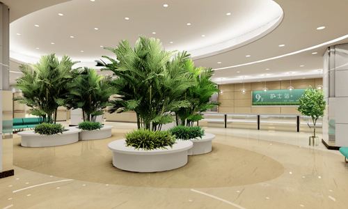 医院绿化的内容有哪些？分享现代医院绿化建设要求(图2)